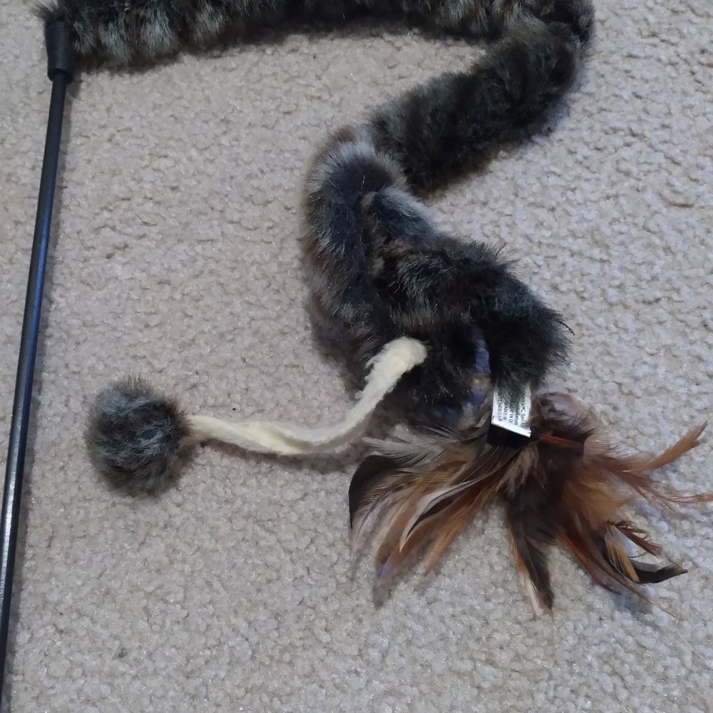 "Fun for all" Cat Toy